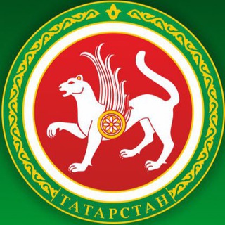 Логотип канала nashtatarstan_official