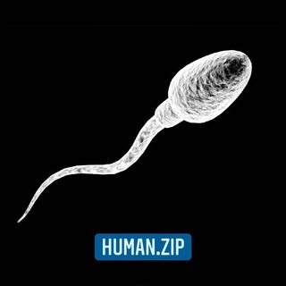 Логотип канала human_zip