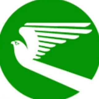 Логотип канала turkmenistanairlines