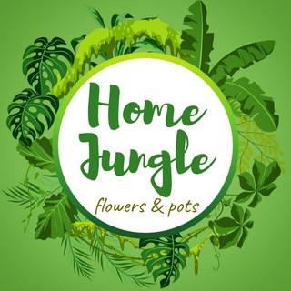 Логотип канала homejungle_uz