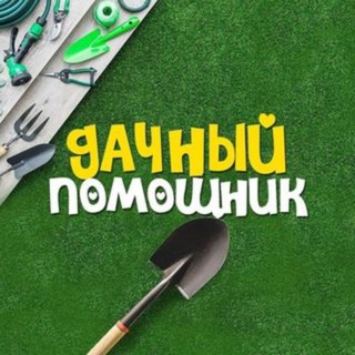 Логотип канала dacha_pub