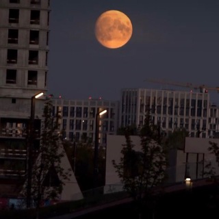 Логотип канала moonathome