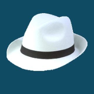 Логотип sombreros_blancos_zim