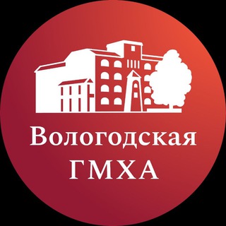 Логотип канала vgmha