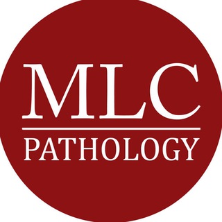 Логотип mlc_pathology