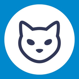 Логотип канала catchain