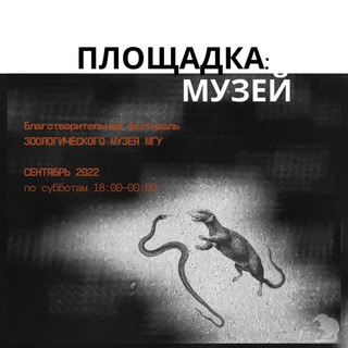 Логотип zmmufest