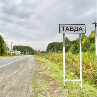 Логотип tavda_pro