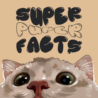 Логотип канала superpuperfacts