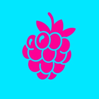 Логотип канала raspberry_english