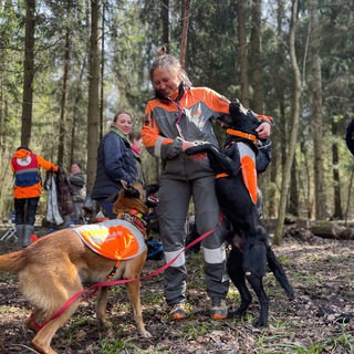 Логотип канала sar_dogs