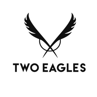 Логотип канала two_eagles_ru