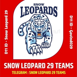 Логотип канала snowleopard29teams