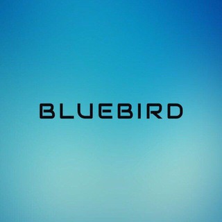 Логотип канала bluebirdofficial