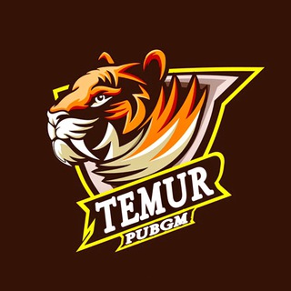 Логотип temur_pubgm