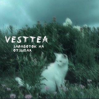 Логотип канала vesttea