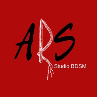 Логотип канала studio_ars