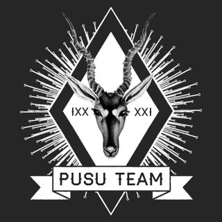 Логотип pusuteam