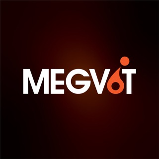 Логотип megvit