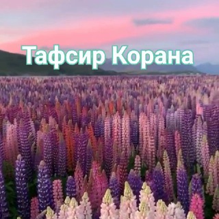 Логотип канала tafsirkorana_tafsirkorana