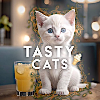 Логотип канала tastycatss