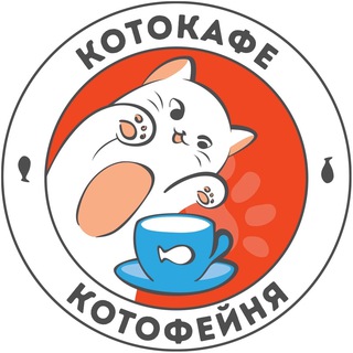 Логотип канала kotofeinya