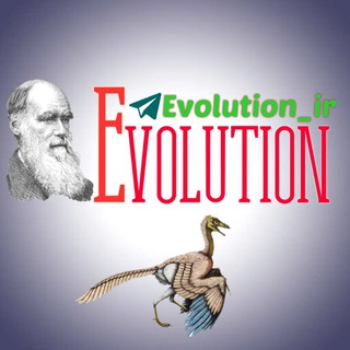 Логотип канала evolution_ir