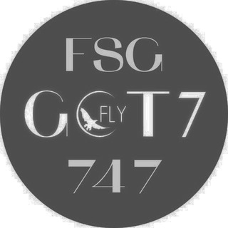 Логотип канала fsg_fly