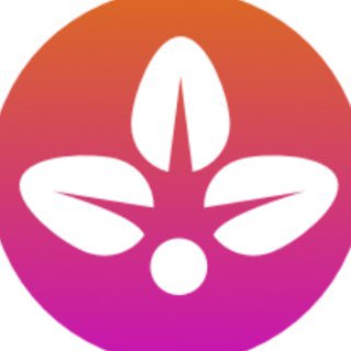 Логотип канала organictoken