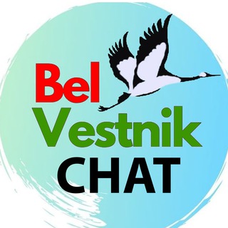 Логотип канала belvestnik_chat