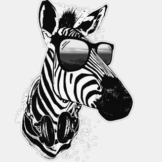 Логотип zebrapro