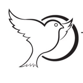 Логотип канала bravesparrowonair
