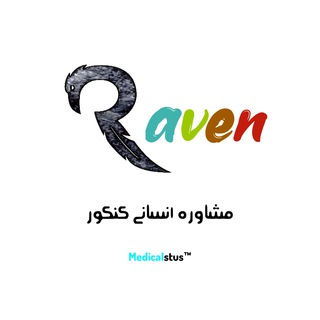 Логотип raventeam_ir