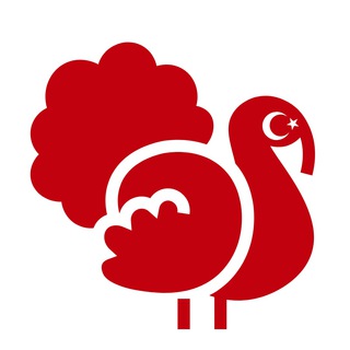 Логотип lets_turkey