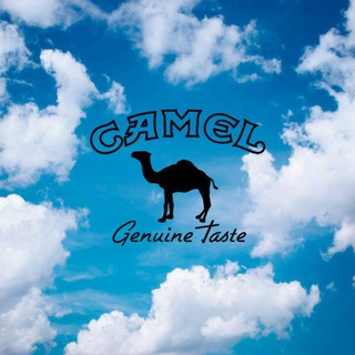 Логотип camel_channel