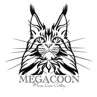 Логотип канала megacoon24