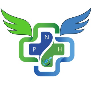 Логотип team_pnh