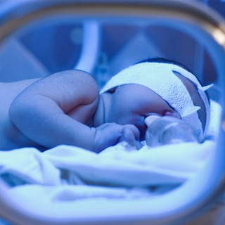 Логотип канала neonatolog_2023