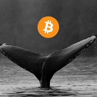 Логотип канала mobydick_crypto