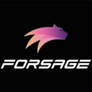 Логотип канала forsagenew8