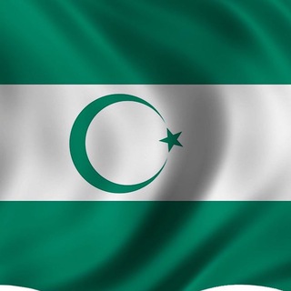 Логотип dagestan_n_c