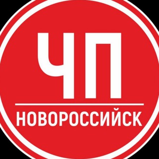 Логотип nvrsk_chp