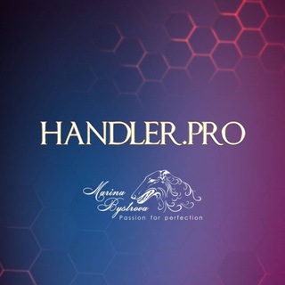 Логотип канала handlerpro