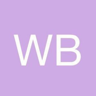 Логотип wbfinds