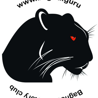 Логотип канала bagiraguru