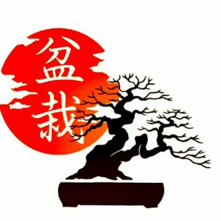 Логотип канала bonsai_uz