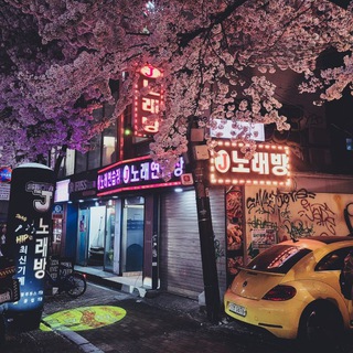 Логотип korea_wanderlust