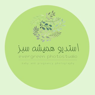 Логотип канала evergreenphotostudio