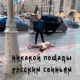 Логотип putinbeasts
