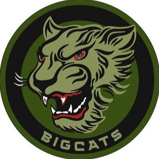 Логотип bigcatsinfo